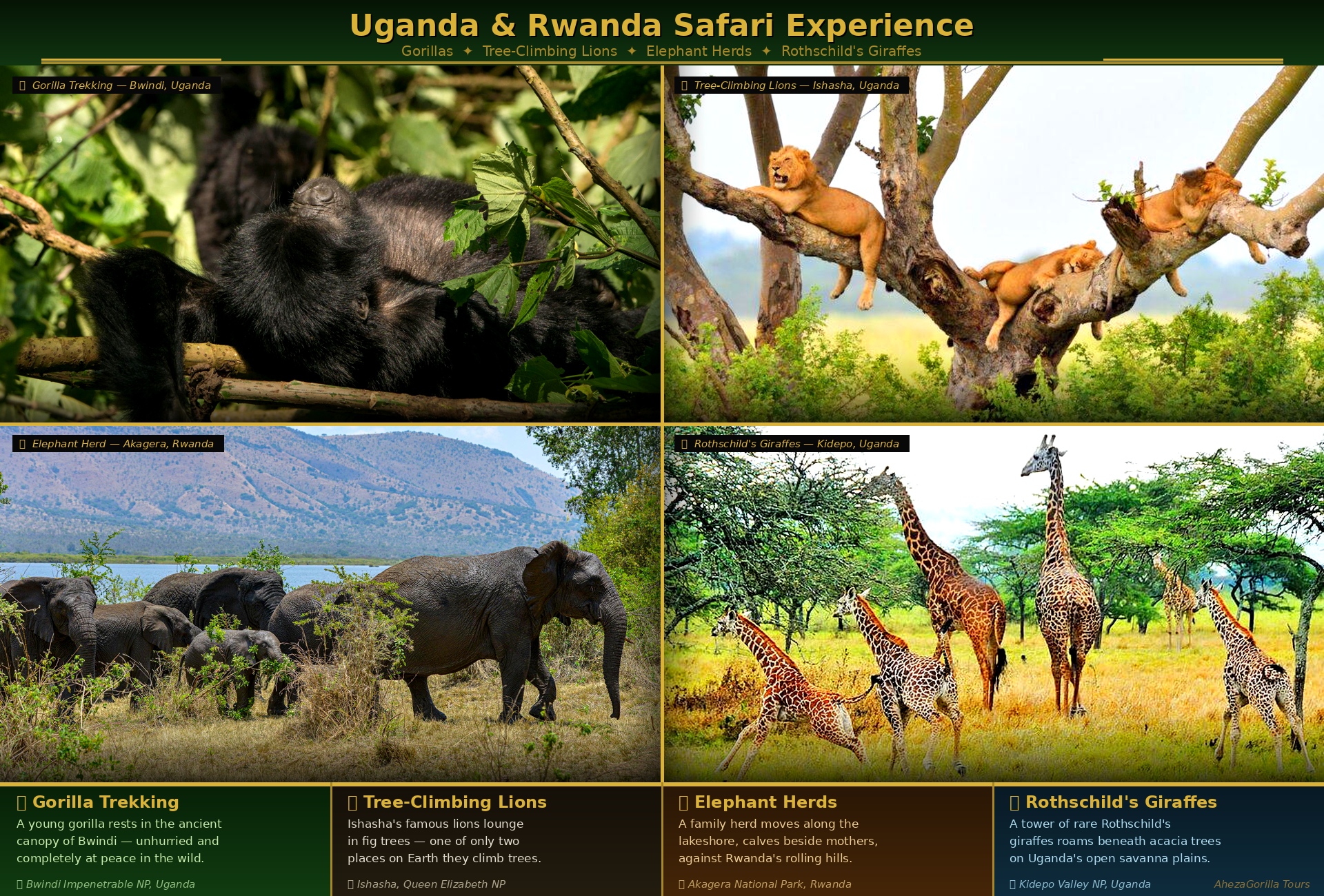 10 Days Uganda–Rwanda Wildlife & Gorilla Safari